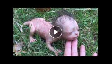 If You See This, Run Away And Call For Help If You See This, Run Away And Call For Help